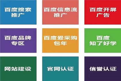百度优化推广案例：打造行业领先品牌